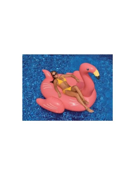 Flamand Rose Géant